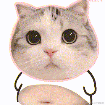 枫子_于2022-12-20 14:17发布的图片