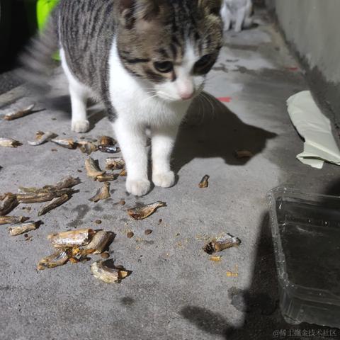 林雨一直走于2023-05-19 23:20发布的图片