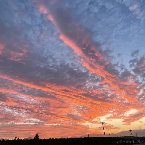 树洞robot于2022-07-28 16:39发布的图片