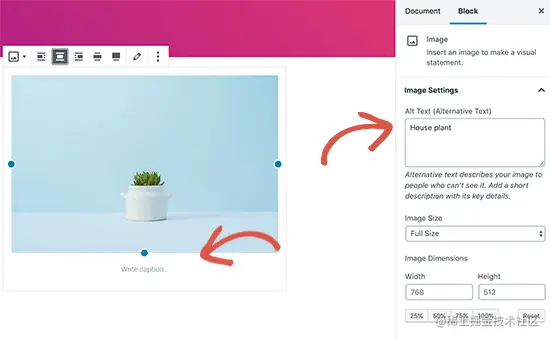 Alt属性 vs 图片说明（Caption）
