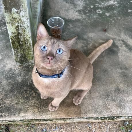 estar于2022-11-17 15:55发布的图片