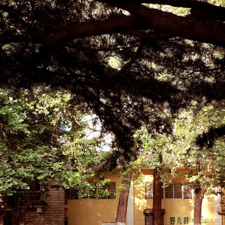 叮咚咚咚于2022-11-11 23:42发布的图片