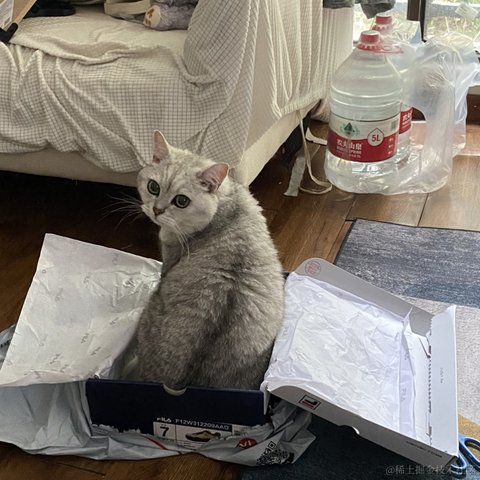 夜果子于2023-06-03 16:46发布的图片