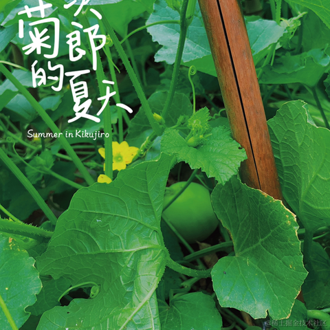 前端队长Daotin于2021-06-13 17:53发布的图片