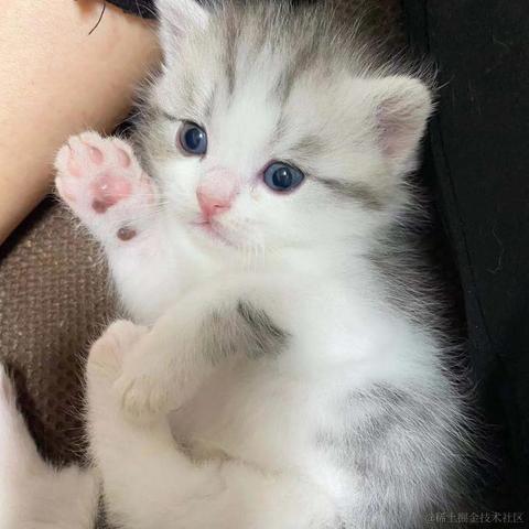 Livingbody于2021-10-31 11:05发布的图片