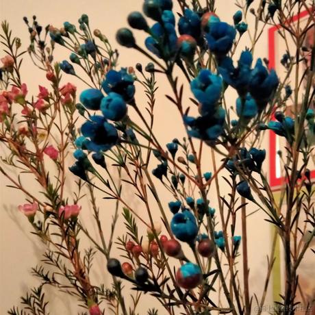 涼醉于2023-05-29 23:48发布的图片