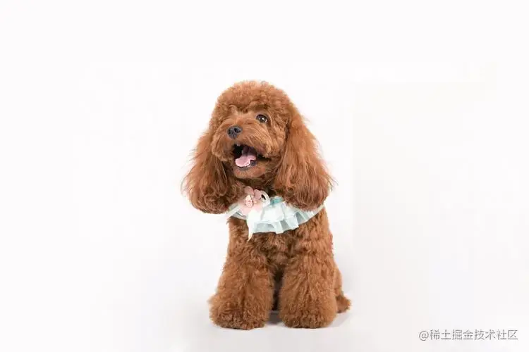 前端构建工具webpack学习
