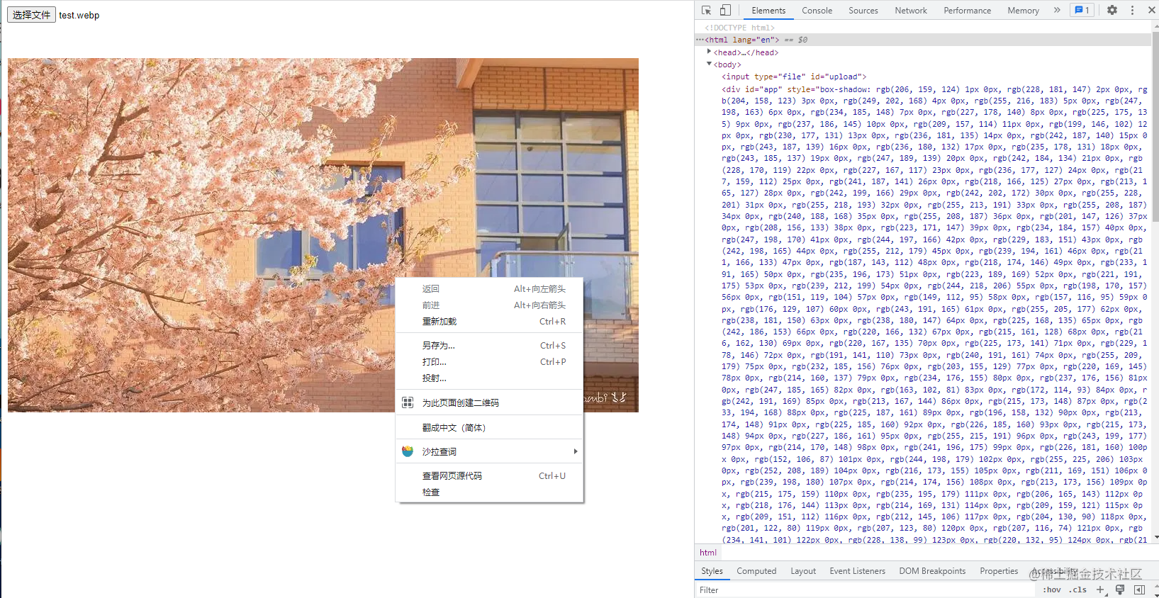 css绘制图片.png
