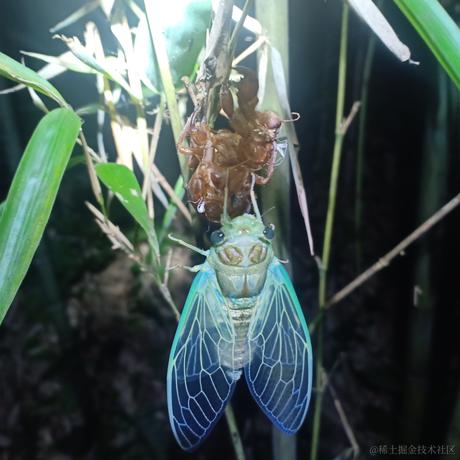 好饿好饿于2023-06-25 20:49发布的图片