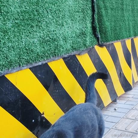 橘子焦糖于2022-11-24 09:20发布的图片
