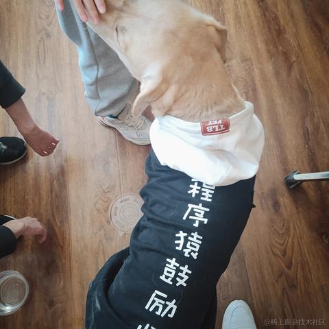 懷秋于2020-12-30 16:30发布的图片