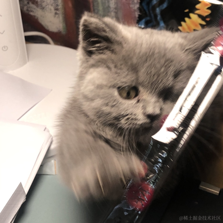 澄九明于2022-11-28 09:09发布的图片