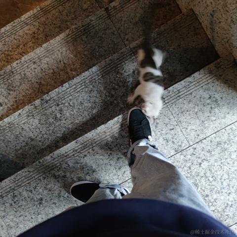 晚宝碗宝于2022-12-04 19:30发布的图片