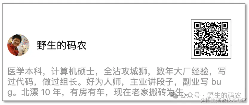 野生的码农公众号