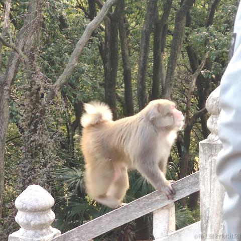 cen姜于2023-01-24 23:48发布的图片