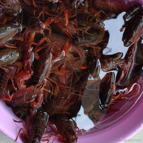 文不着调于2021-05-23 19:35发布的图片