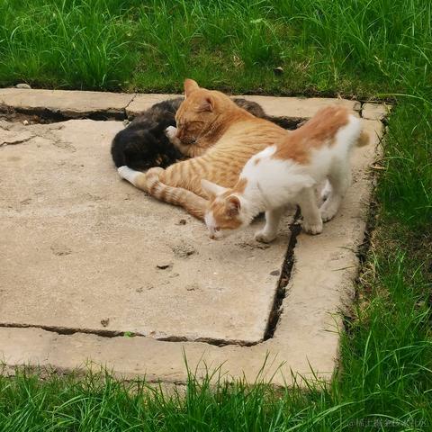 顶碗的王木木于2022-11-24 09:12发布的图片