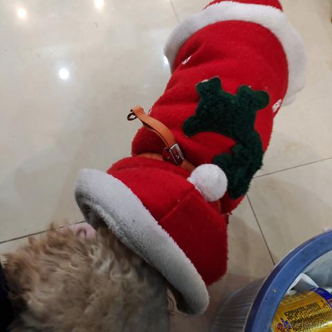 今天也在发疯于2022-12-02 19:01发布的图片