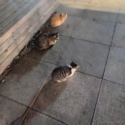 蹄蹄于2022-11-15 13:07发布的图片