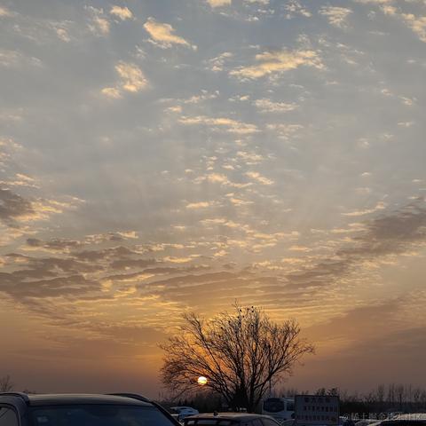 未季言于2023-01-19 17:18发布的图片