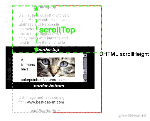 scroll.jpg