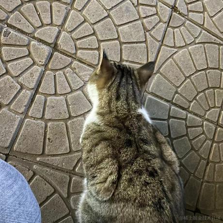 没名字了随便吧于2022-12-08 09:46发布的图片