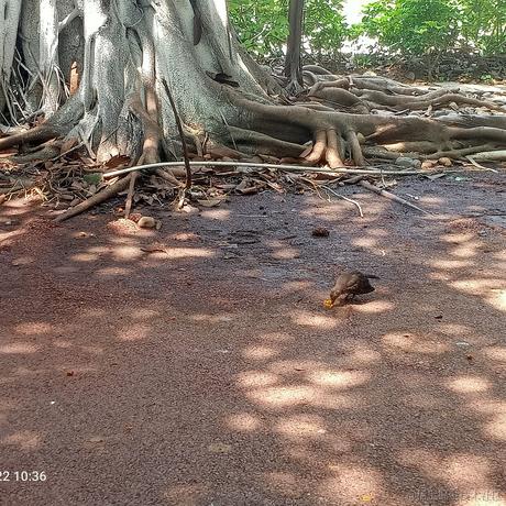 乃琳queen于2023-06-22 10:37发布的图片