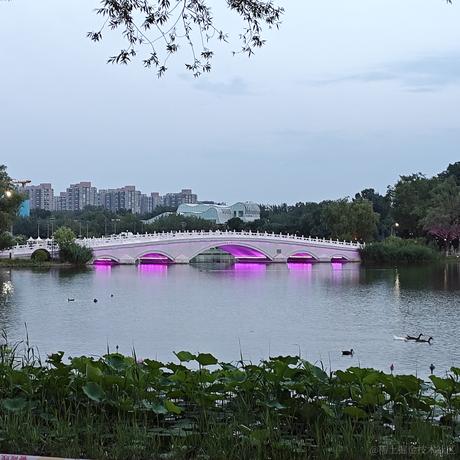 贝拉多嘉然芬奇于2023-06-28 09:05发布的图片