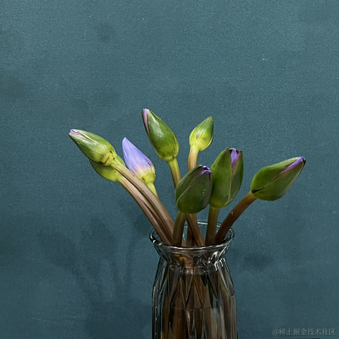 KingMan于2022-11-29 14:51发布的图片