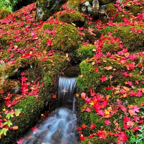 西红柿盖饭于2022-11-27 15:21发布的图片