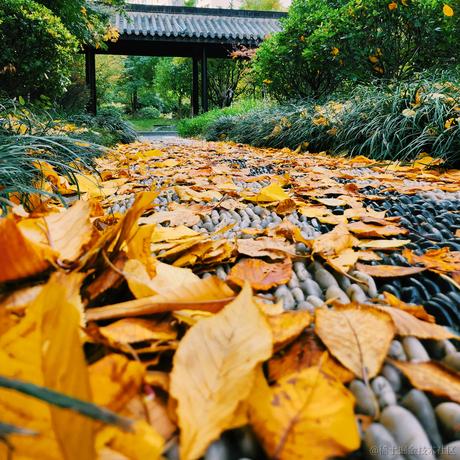 啵啵蘸酱于2022-11-24 01:14发布的图片