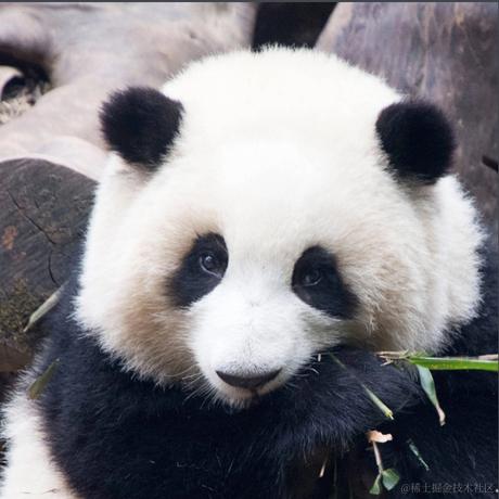 MiRuMo于2023-10-21 14:55发布的图片