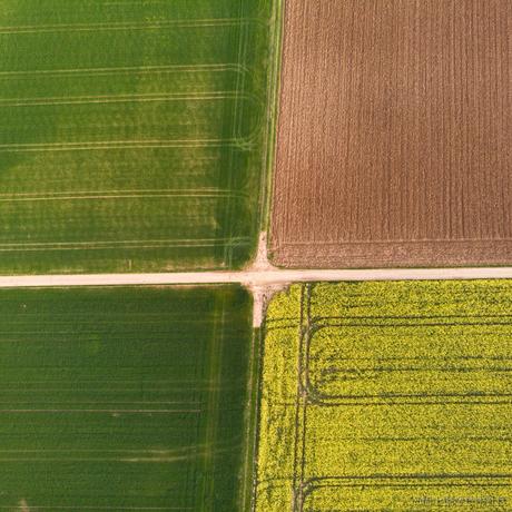 gophermin于2022-08-14 11:02发布的图片