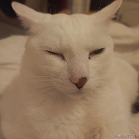 奔跑吧鸡翅于2023-05-13 09:42发布的图片