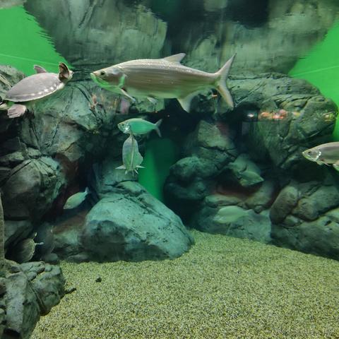 吃鱼徐于2023-05-24 10:37发布的图片