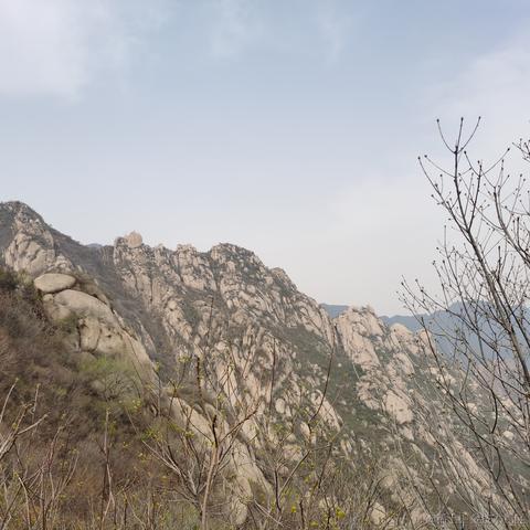stwang于2023-04-09 17:20发布的图片
