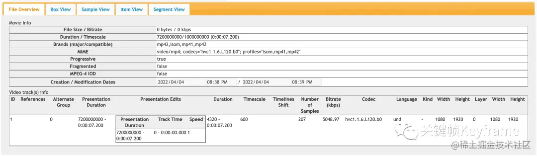 Demo 生成的 MP4 文件结构 
