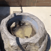 囧史密斯于2022-11-12 19:38发布的图片