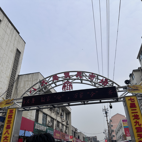 小不忍则卖大萌啊于2024-04-22 12:04发布的图片