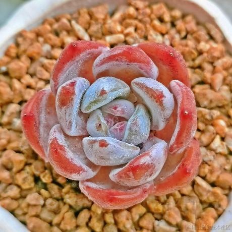 xtsoo于2022-11-30 15:41发布的图片