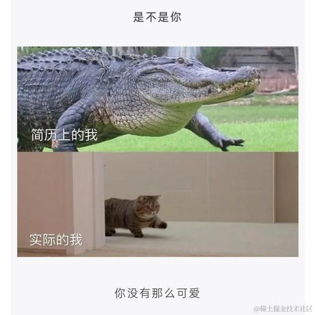 已注销于2022-07-11 13:02发布的图片