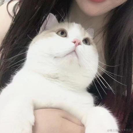 HomoLudens于2022-04-15 09:55发布的图片