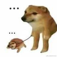 Hdjrm于2023-07-30 23:24发布的图片