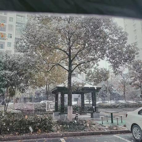 顾蘅于2022-11-30 17:31发布的图片