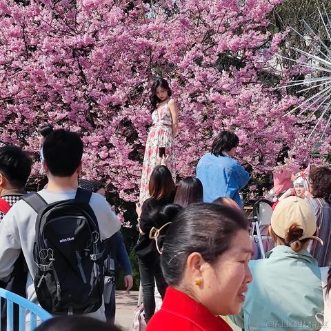 程序员柳随风于2023-03-14 09:34发布的图片