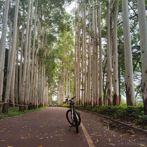 媛媛啊9813于2024-05-04 05:44发布的图片