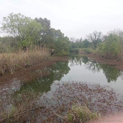 云猊于2023-04-01 11:59发布的图片