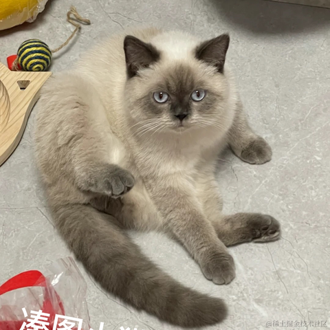 花生了什么树66于2023-05-04 10:03发布的图片