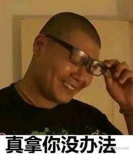 真拿你没办法