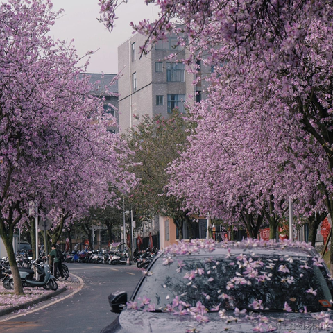 秋秋11于2023-04-19 20:04发布的图片